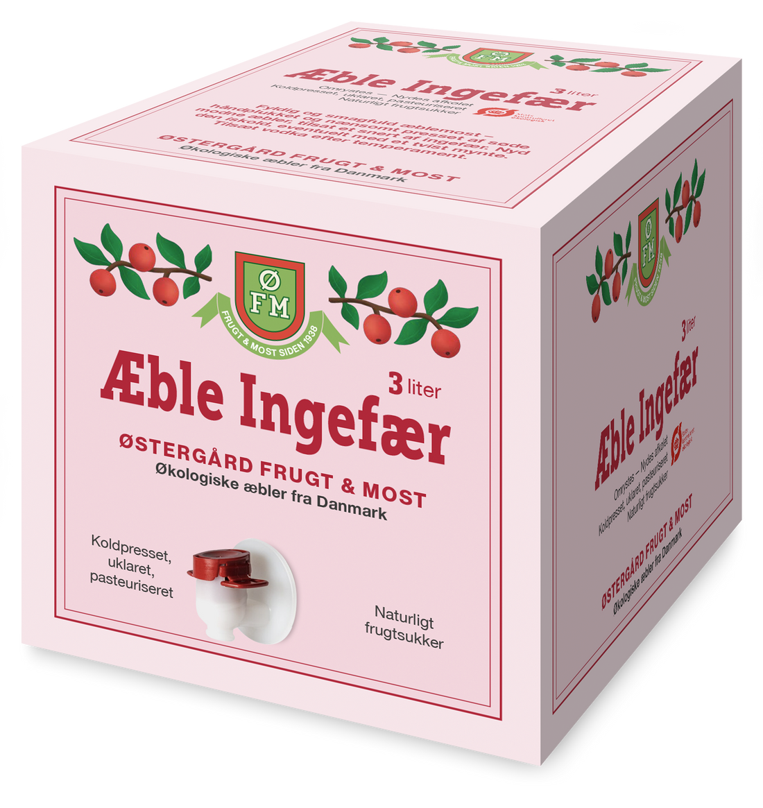 Økologisk Æble Ingefær - 3 liter i en box