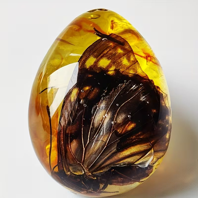 Simuleret ravsæt (2 stk.) med udstillingskasser – pædagogisk og dekorativ gaveidé