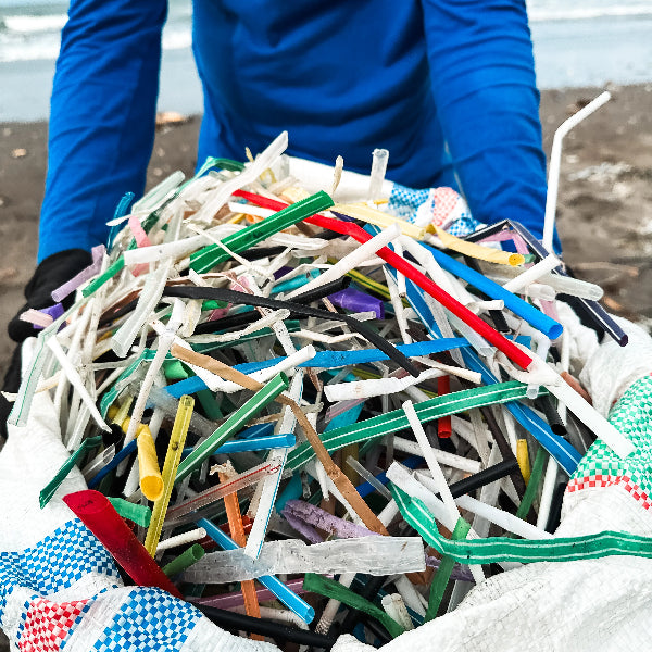 Last Straw (Lavet af genanvendte sugerør)