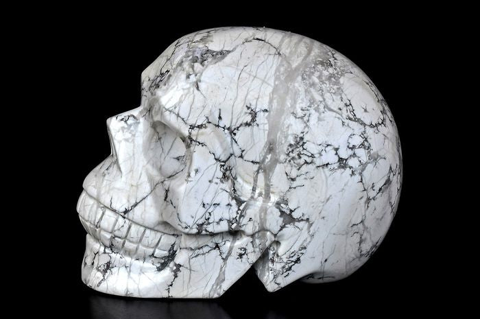 Rare and uniqe Skull