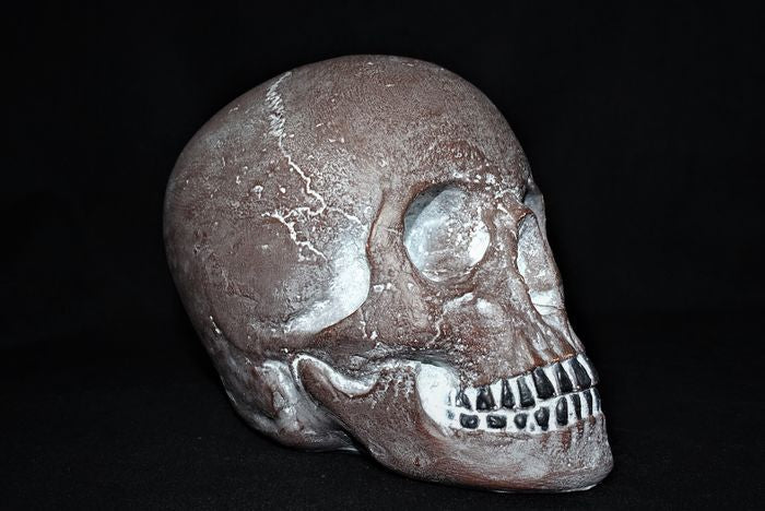 Skull classic - memento mori - artificial stone
