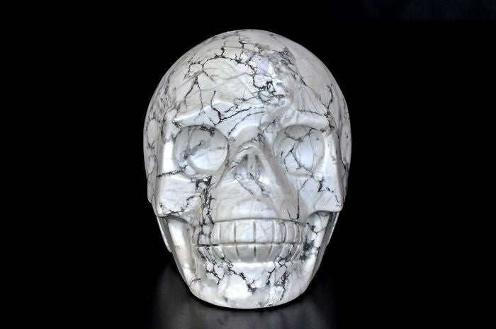 Rare and uniqe Skull