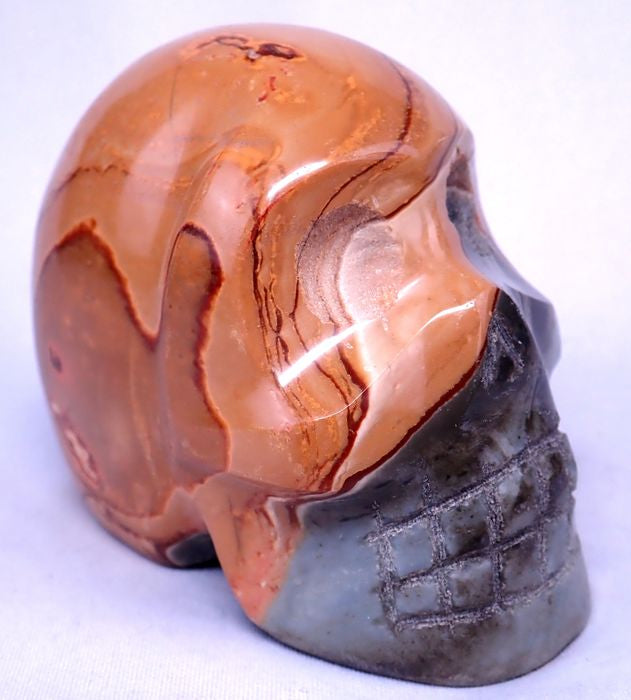 Beautiful a + jasper skull