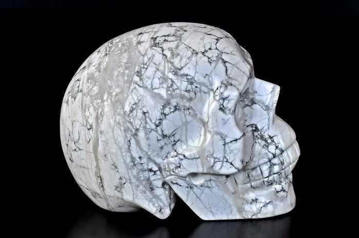 Rare and uniqe Skull