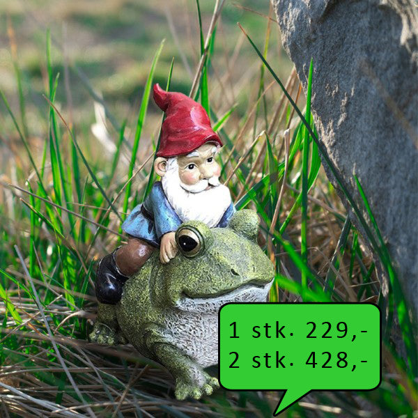 Nisse på frø