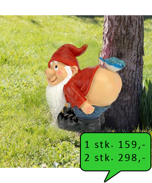 Sød lille nisse som kan få alle til at smile