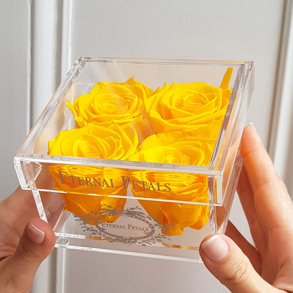 Quartet Bumblebee - Roser som holder ca. 1 år