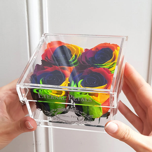 Quartet - Rainbow - Roser som holder ca. 1 år