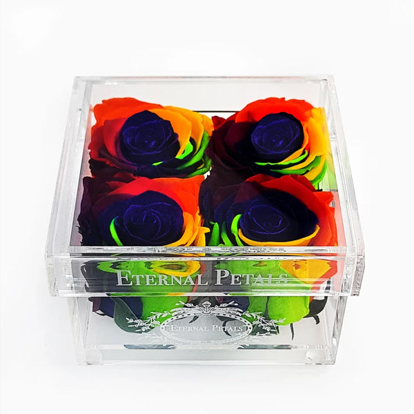 Quartet - Rainbow - Roser som holder ca. 1 år