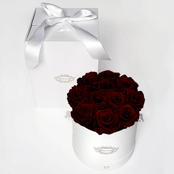 Queen - White Suede - Roser som holder ca. 1 år