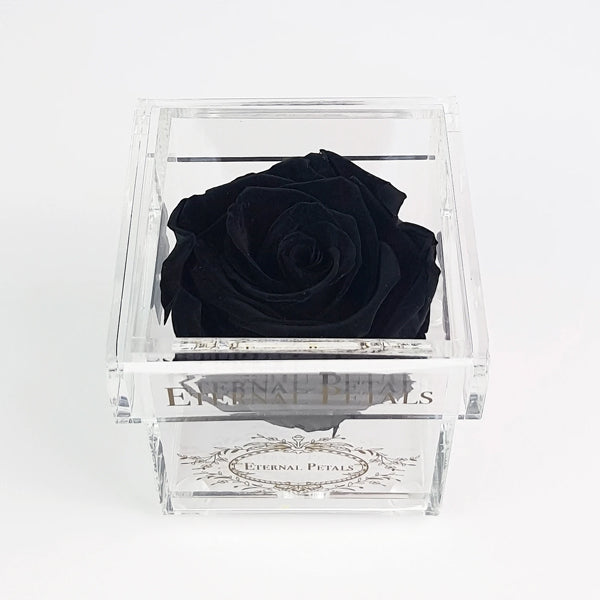 Solo - Black Diamond - Roser som holder ca. 1 år