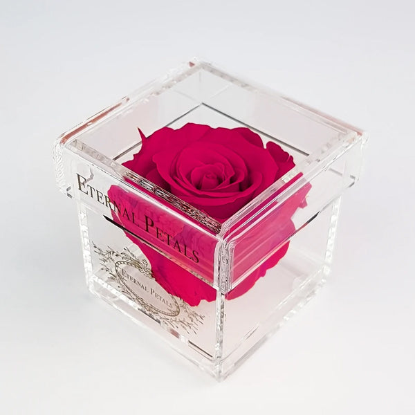 Solo - Fuchsia - Roser som holder ca. 1 år