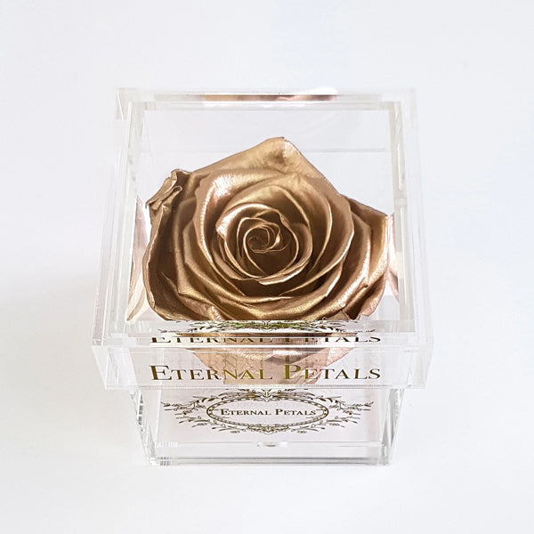 Solo - Gold - Roser som holder ca. 1 år