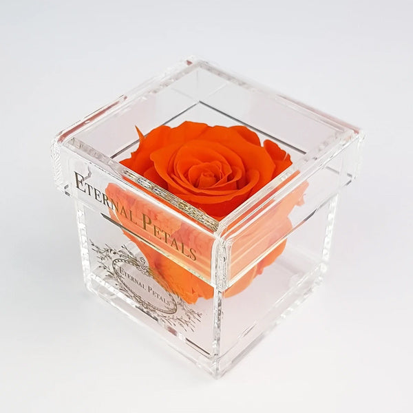 Solo - Orange Flame - Roser som holder ca. 1 år
