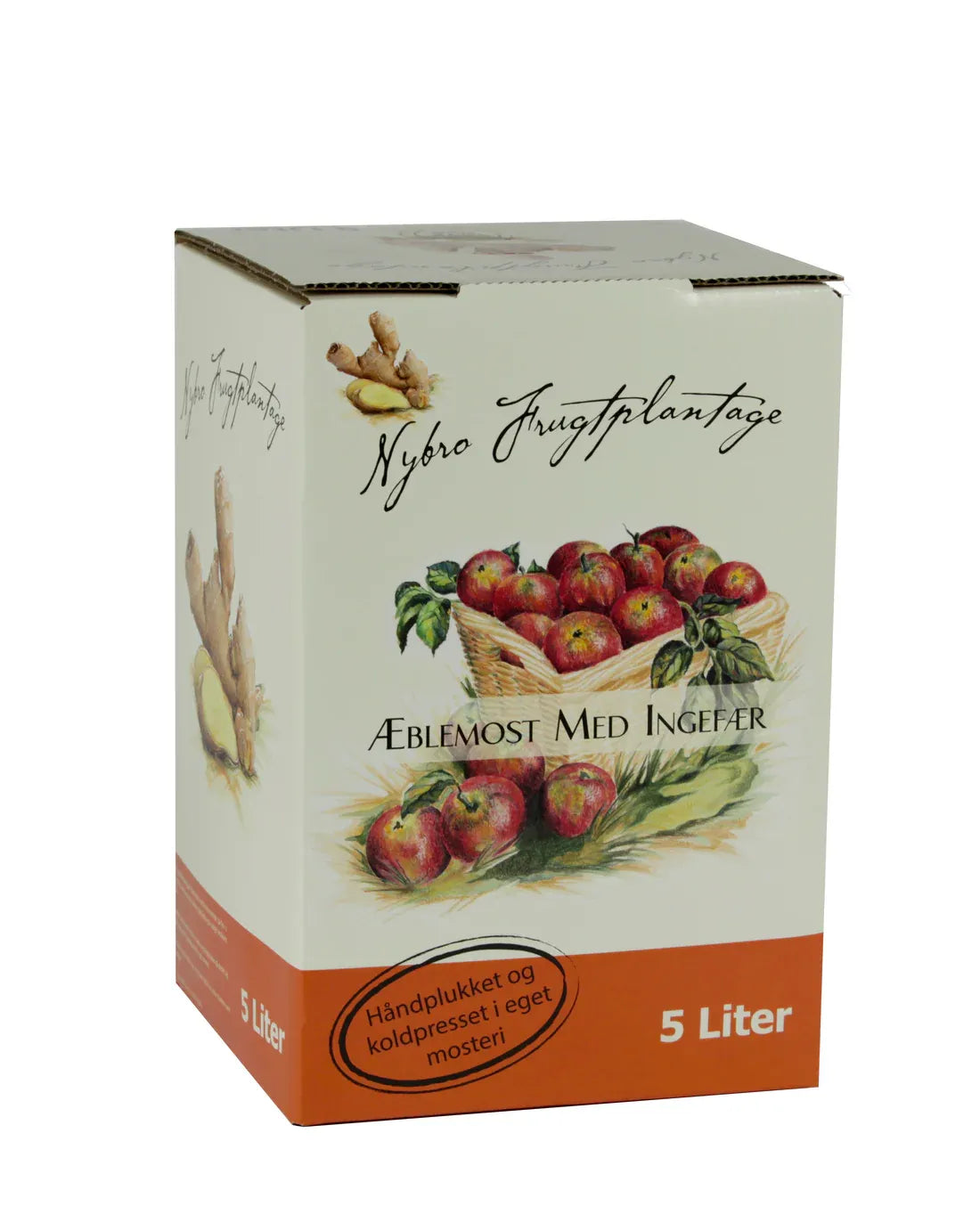 Æblemost med Ingefær 5 Liter