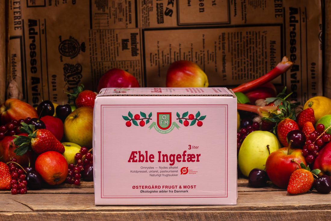Økologisk Æble Ingefær - 3 liter i en box