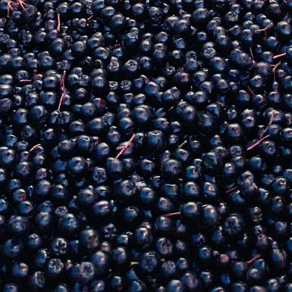 Måske verdens bedste Aronia-juice - Økologisk, ufortyndet, uden tilsat sukker 3 Liter