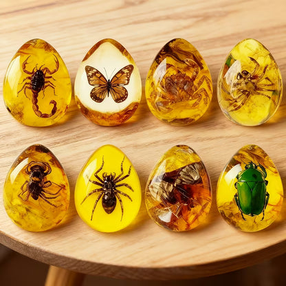 Simuleret ravsæt (2 stk.) med udstillingskasser – pædagogisk og dekorativ gaveidé