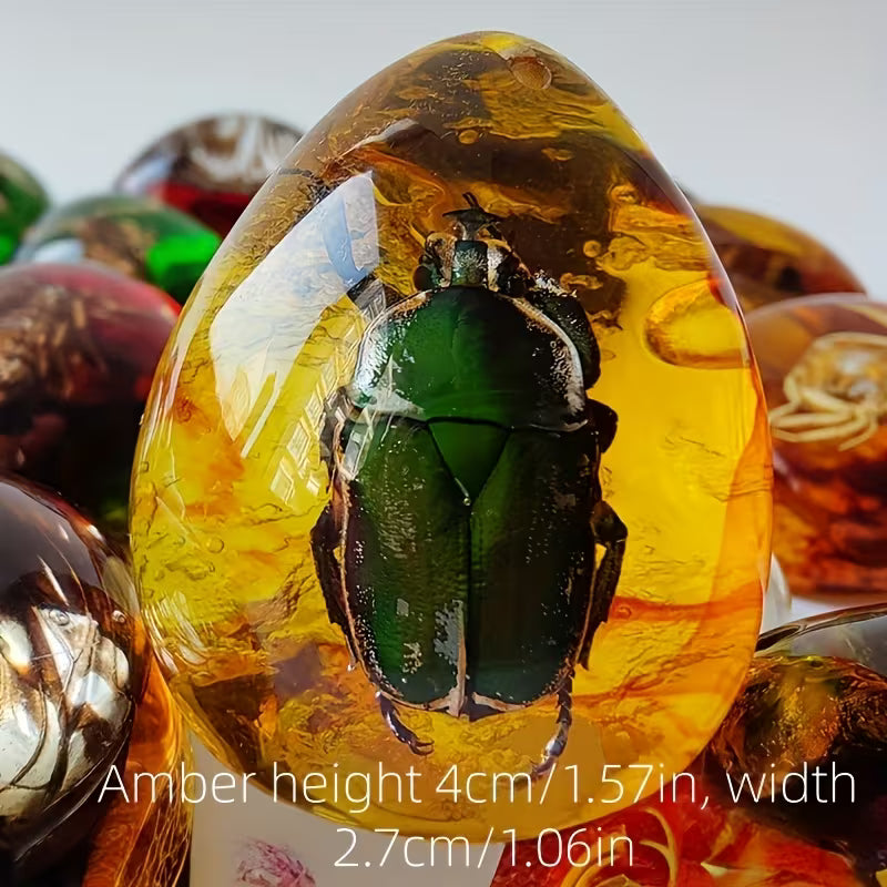 Simuleret ravsæt (2 stk.) med udstillingskasser – pædagogisk og dekorativ gaveidé