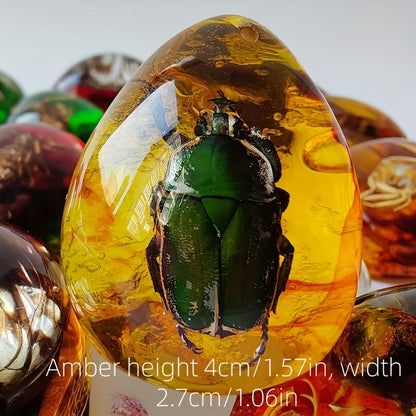 Simuleret ravsæt (2 stk.) med udstillingskasser – pædagogisk og dekorativ gaveidé