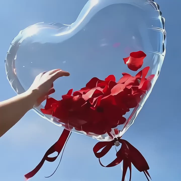 Load video: { description }}