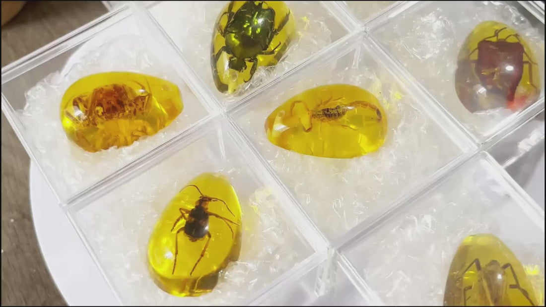 Load video: { description }}