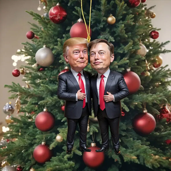 Trump & Elon Musk Karikatur