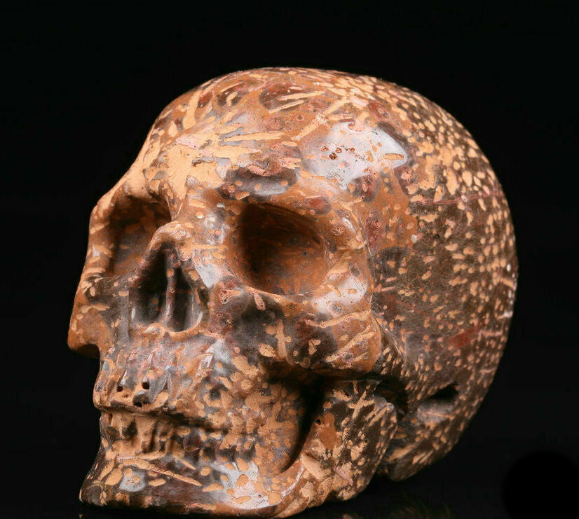 Gold star Skull - 380 CT