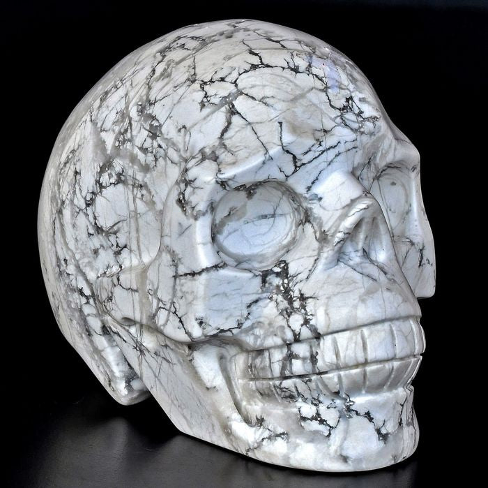 Rare and uniqe Skull