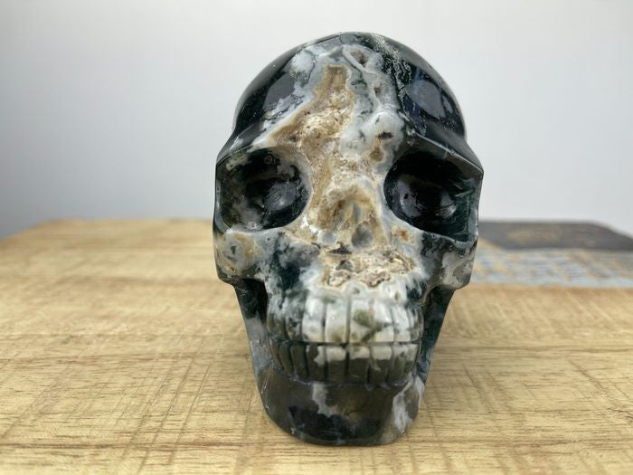 Aquatic agate skull