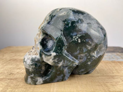 Aquatic agate skull