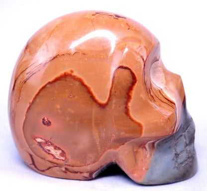 Beautiful a + jasper skull