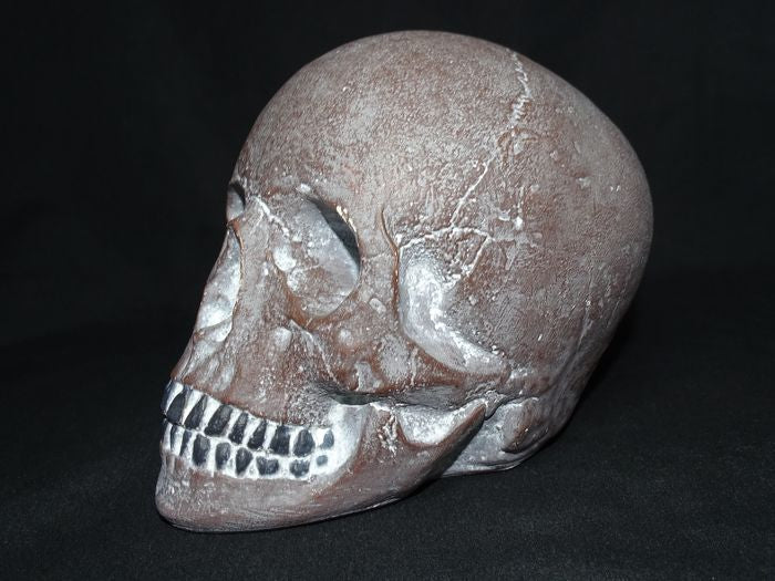 Skull classic - memento mori - artificial stone