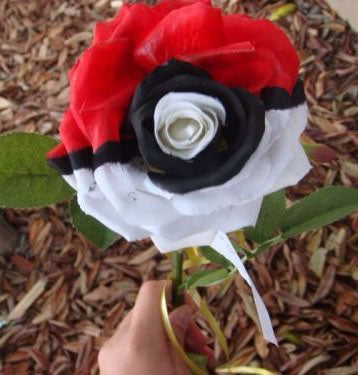 Black Pearl Rose blomsterfrø
