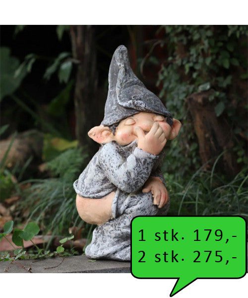 Nisse på toilet