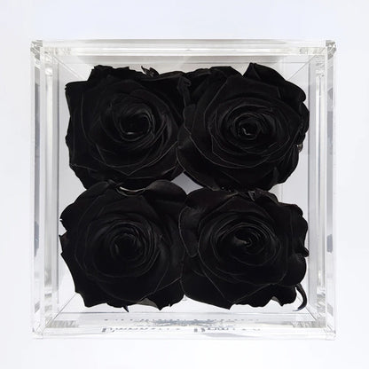 Quartet - Black Diamond - Roser som holder ca. 1 år