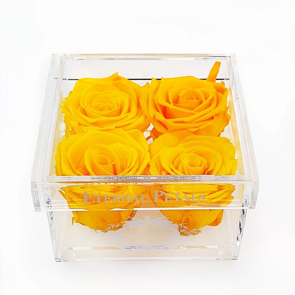 Quartet Bumblebee - Roser som holder ca. 1 år