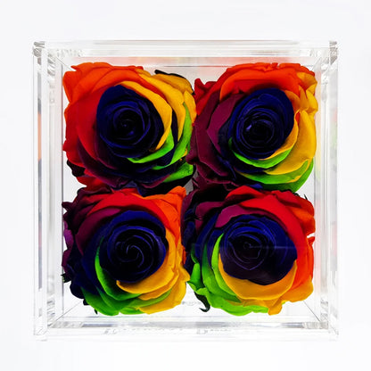 Quartet - Rainbow - Roser som holder ca. 1 år