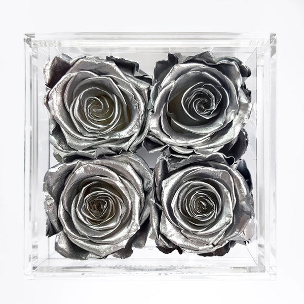Quartet - Silver - Roser som holder ca. 1 år