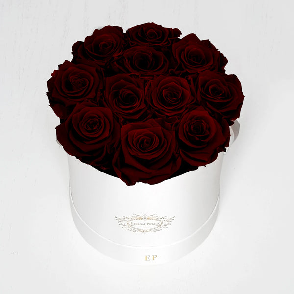 Queen - White Suede - Roser som holder ca. 1 år