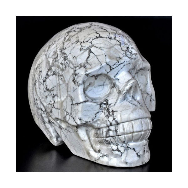 Rare and uniqe Skull