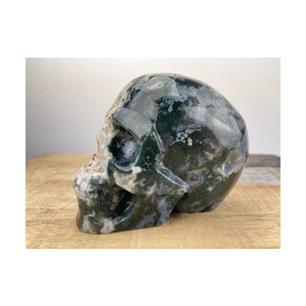 Aquatic agate skull