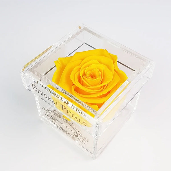 Solo - Bumblebee - Roser som holder ca. 1 år