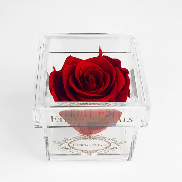 Solo - Deep Love - Roser som holder ca. 1 år