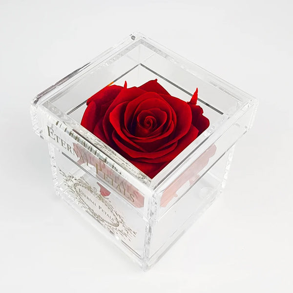 Solo - Deep Love - Roser som holder ca. 1 år