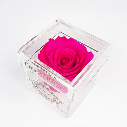 Solo - Hot Pink - Roser som holder ca. 1 år