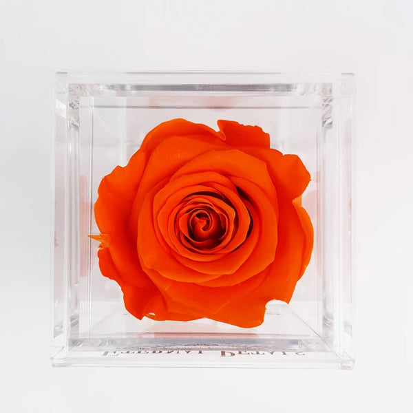 Solo - Orange Flame - Roser som holder ca. 1 år