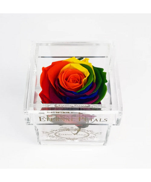 Solo Rainbow - Roser som holder ca. 1 år