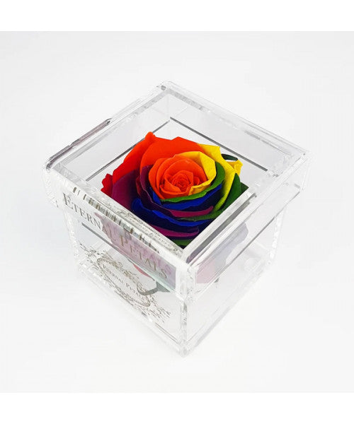 Solo Rainbow - Roser som holder ca. 1 år