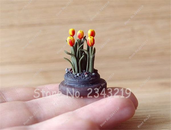 Tulip Seeds, Rare Mini Bonsai Seeds